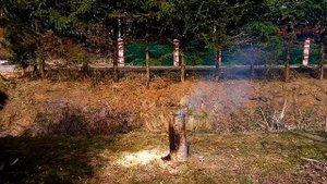 Вечное полено.