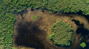 Subcarpați și Rusalka - IVAN