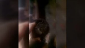 Опель вектра б 2001г .замена щёток, от ваз 2110 на маторчике печки.