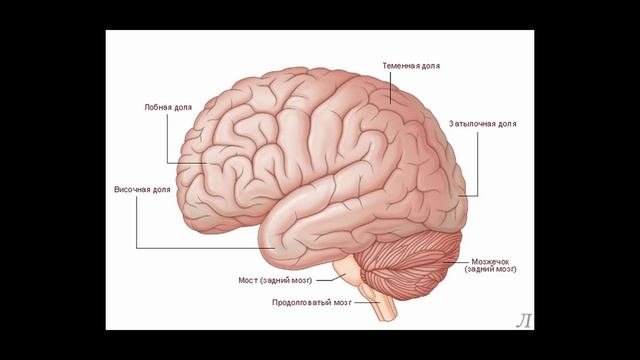 11.20 Подробное разъяснение. Развитие