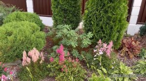 Июль в саду или сад в июле