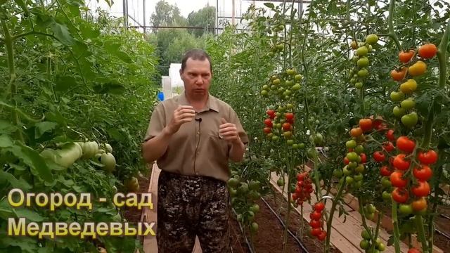 Битва удобрений: минеральные или  органические