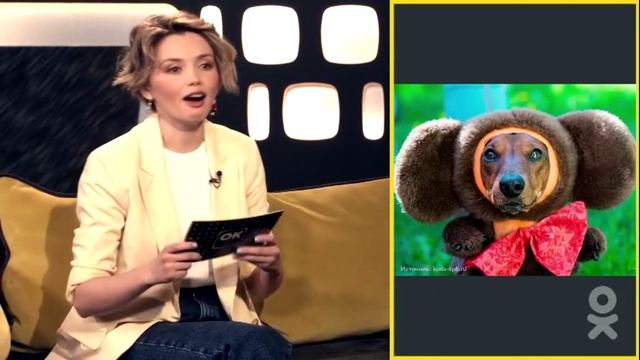 Ольга Кузьмина пролаяла песню Чебурашки (2023)