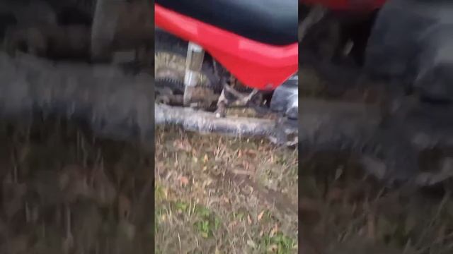 обзор на сову 175 смотреть онлайн