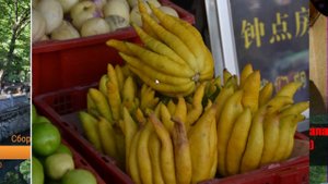 #9 Путешествие в Лаос №1