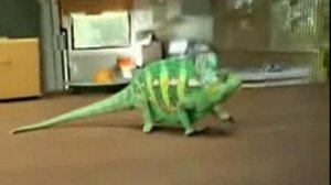 Чудеса маскировки