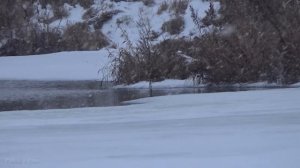 Зимняя рыбалка ! Рыбалка на жерлицы!