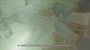 Рыбное хозяйство | переработка рыбы и морепродуктов | Италия  |