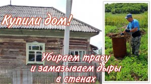 Убираем траву и замазываем дыры в стенах