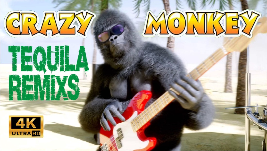 Танцы Текила. Бешенная обезьяна.Ремикс.Dancing gorillas.Tequila.Remix. 跳舞的大猩猩. 击中. 龙舌兰酒 的混音.Клип2022 смотреть онлайн