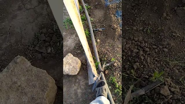 Бюджетный балаган для овощей своими руками