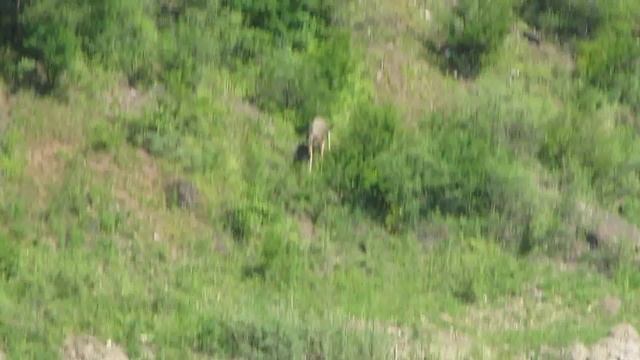 Сплав по томи г.Новокузнецк - г.Кемерово v1.0 смотреть онлайн