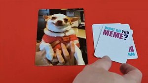 How To Play - WHAT DO YOU MEME?