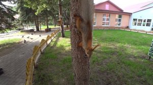 Отдых в России ?База отдыха "СКАЗКА" Чернолучье" ? Стоит ли таких денег? Обзор номеров/ Омск