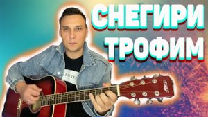 Снегири на гитаре Трофим (кавер)