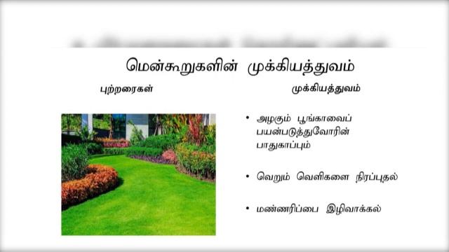 Biosystems Technology | - நில அலங்கரிப்பு | A/L | Tamil Medium | LMDM Unit смотреть онлайн