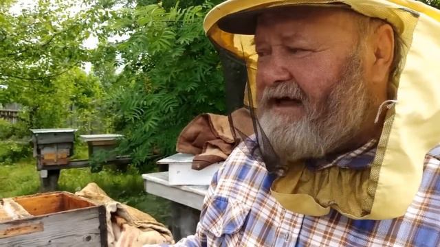 Рассказ старого пчеловода.