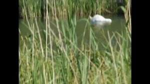 Рыбалка на реке Миус. Красный Луч.