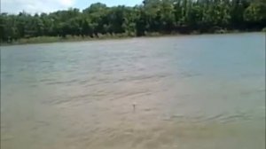 Рыбалка. Пошла селедка на Дону