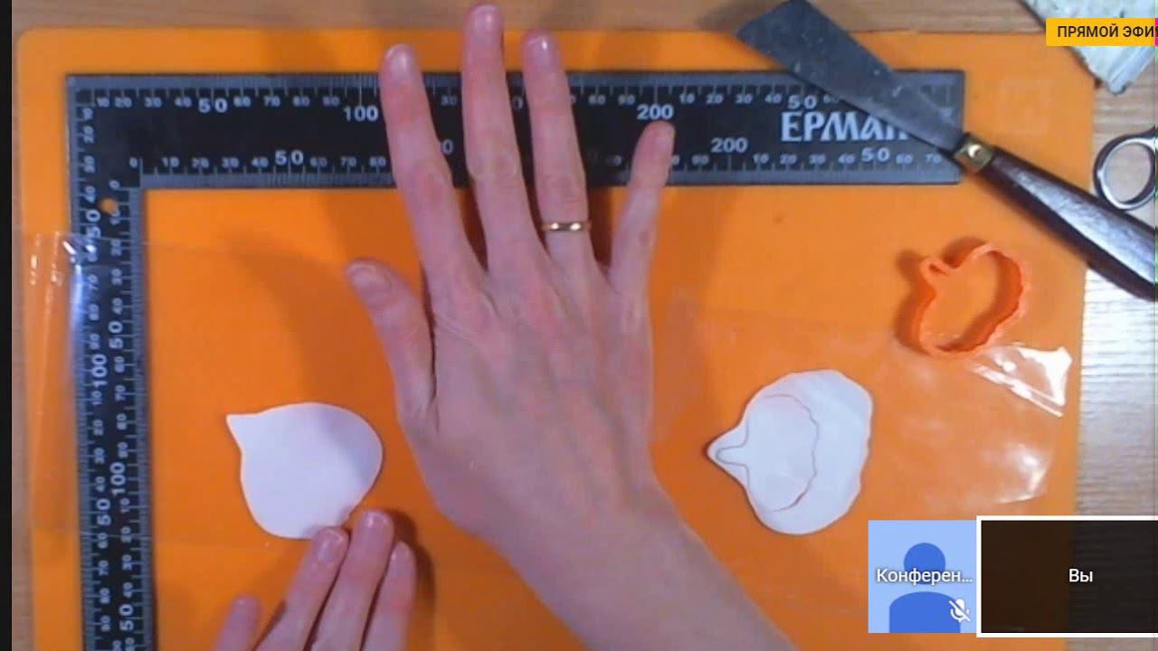 Анютки (виола) (19.04.2018 23-31-11) смотреть онлайн