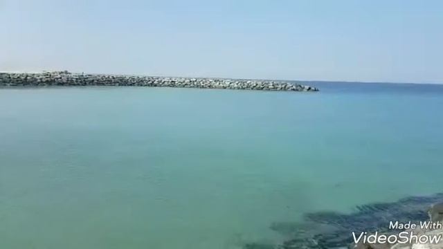 "Мой милый, славный, добрый друг..." видеостихи К.С. Читает автор Кладовщикова Светлана смотреть онлайн