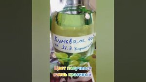 Напиток на кумквате
