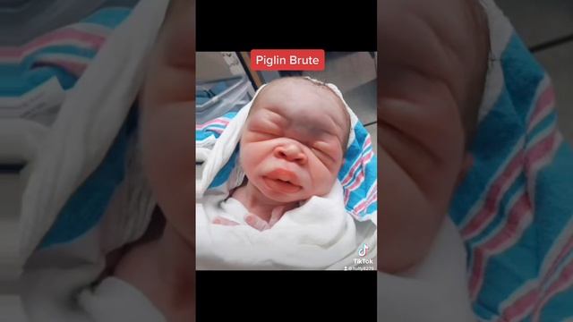 Cute Baby Names Based On Minecraft смотреть онлайн