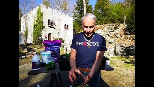 Container Growing смотреть онлайн