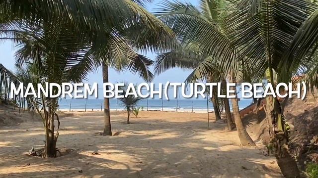 BEST BEACH IN NORTH GOA II MANDREM BEACH II REGENTA PLACE MANDREM II TURTLE BEACH