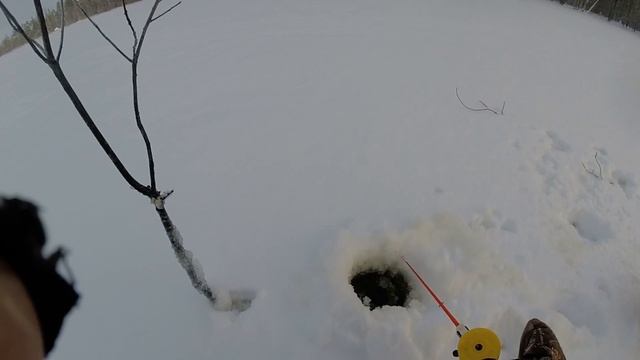 Приключения на рыбалке 2022. Озеро Палкино. смотреть онлайн