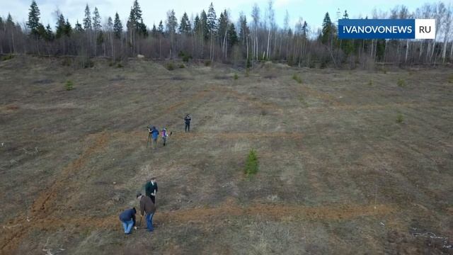 В Ивановской области посадили геоглиф смотреть онлайн