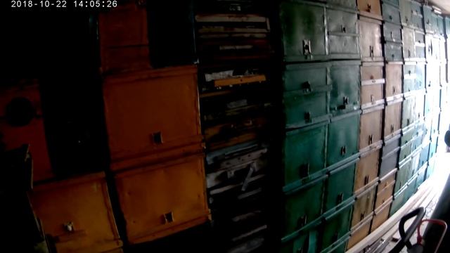 Пчеловодство начинающим.Пчеловодство с нуля.С чего начать.