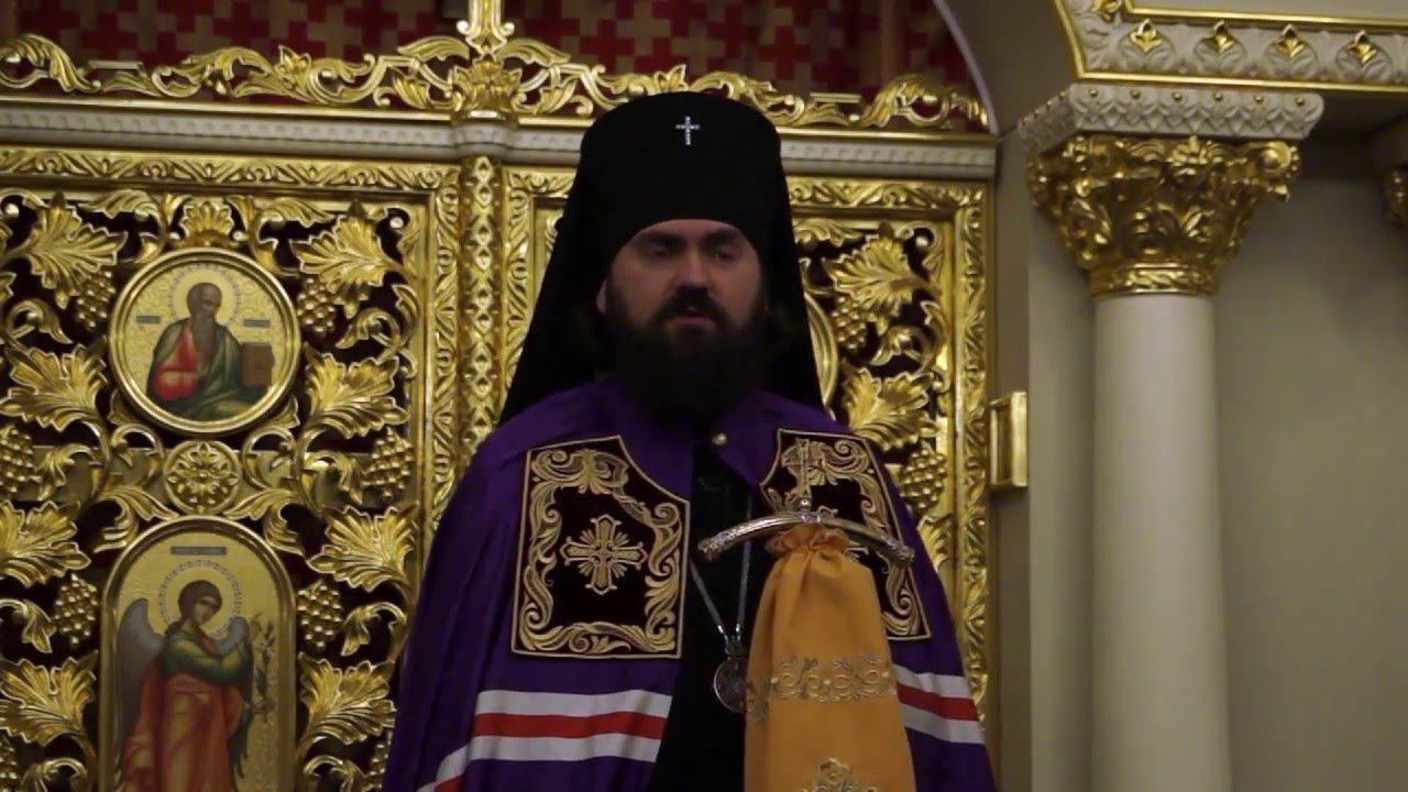 О сострадании