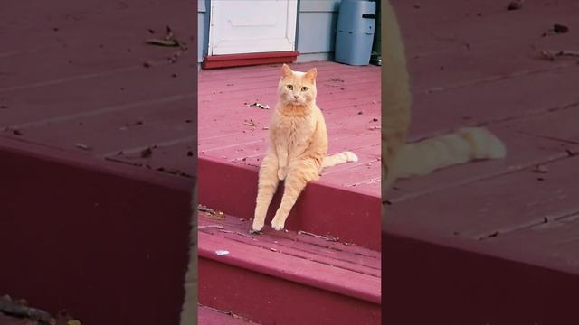 Призадумался смотреть онлайн