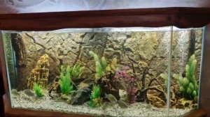 Декоративный аквариум шестигранник