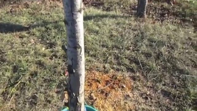 Подставка под елку смотреть онлайн