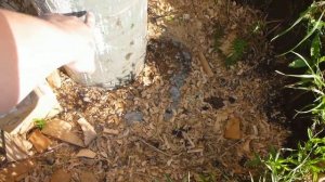 Опалубка для бетонных столбов