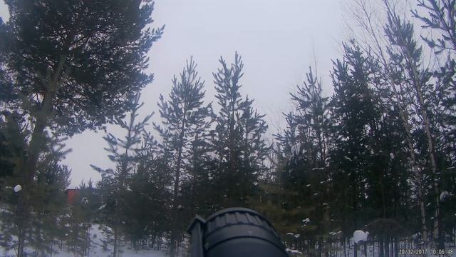 охота на тетерева с подхода с пневматикой VL 12