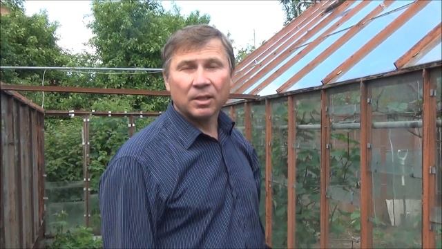 Уход за КЛУБНИКОЙ во время цветения. Что делать с УСАМИ? ПОДКОРМКА смотреть онлайн