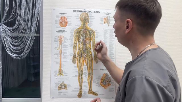 Почему болит не там где больно смотреть онлайн