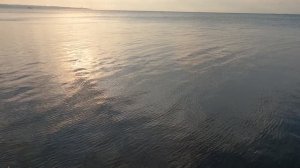 Продолжение рабочего отдыха