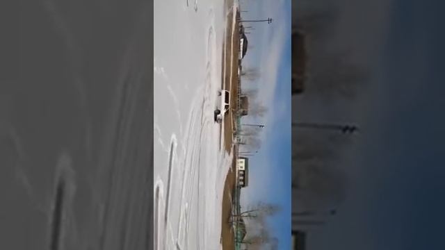 Хайс региус смотреть онлайн