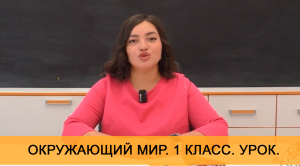 Урок "Государственные символы". Окружающий мир. 1 класс. Онлайн школа "Стоик" от CleverOne.