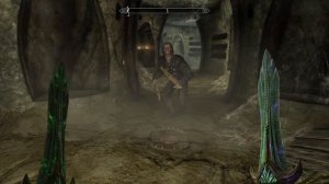 Skyrim Let's torture Mercer