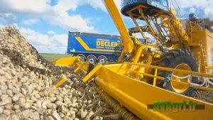ROPA Euro Maus 4 au chargement des betteraves en 2012
