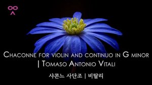 Chaconne for violin and continuo in G minor | Tomaso Antonio Vitali | 샤콘느 사단조 | 비탈리