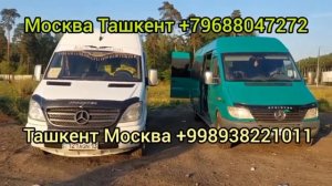 ТАКСИ РОССИЯ ТАШКЕНТ МИКРОАВТОБУС ПИТЕР ТАШКЕНТ МОСКВА ТАШКЕНТ ТАКСИ #москваташкент