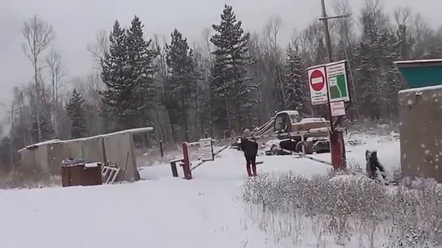 Девушка защитила собаку смотреть онлайн