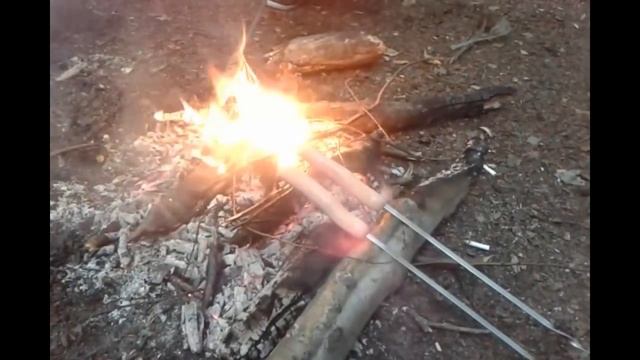 Полевой вечер в лесу. смотреть онлайн