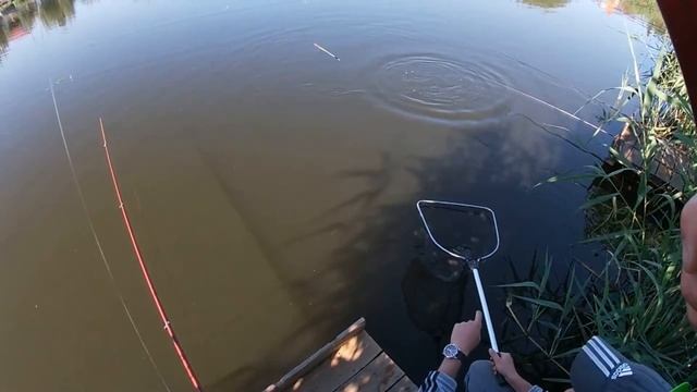 ЭТО НЕ РЫБАЛКА, А ЖОР КАКОЙ-ТО!Рыбалка на ПОПЛАВОК! Ловля ЛИНЯ на УДОЧКУ, все дело в Креветке